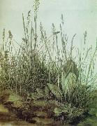 Albrecht Durer The Great Piece of Turf oil